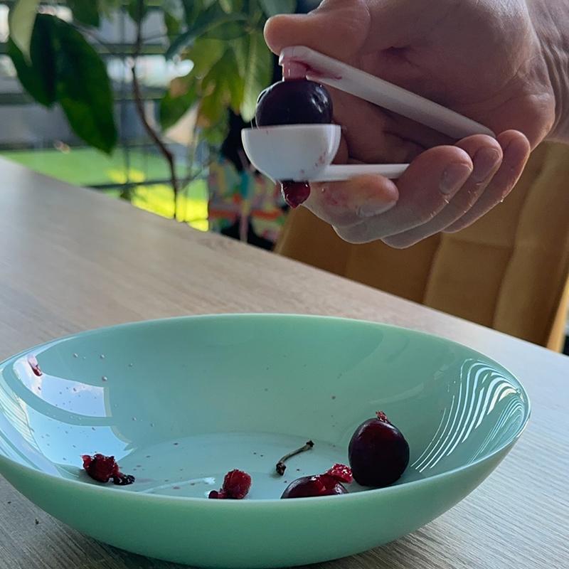 Removedor de caroços de cereja - Kitchen Gadgets To 3D Print avaliação e preço